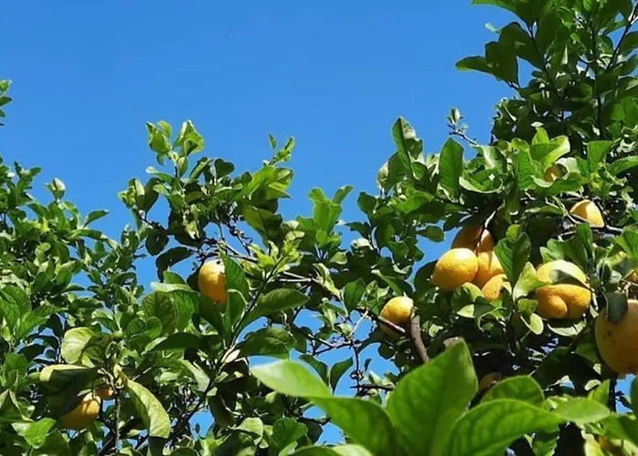 Ca' Di Camineve Bed and breakfast 4*