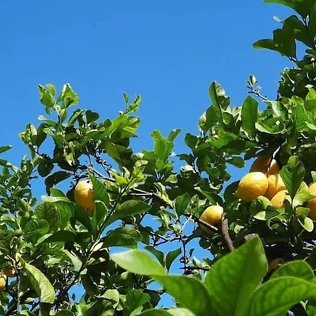 Ca' Di Camineve Bed & Breakfast 4*